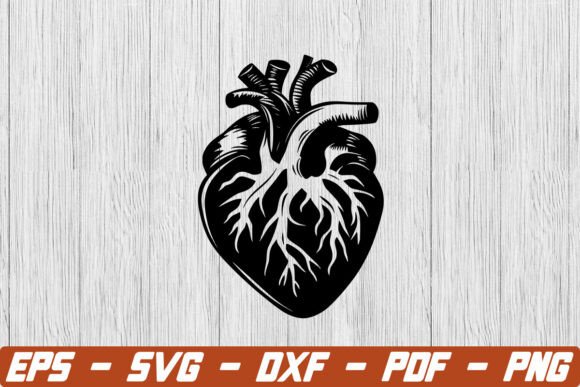 Anatomical Heart SVG: A Versatile Graphic for Crafts and Branding